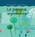 LE PAPYRUS QUI GRANDISSAIT TROP