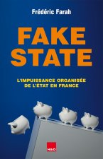 FAKE STATE