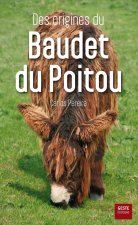 Des origines du baudet du Poitou - le commerce d'anes et de mulets entre le Poitou et la peninsule iberique, et plus particuliereme