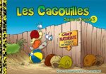 Coquilles en stock !