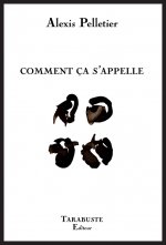 COMMENT CA S'APPELLE - Alexis Pelletier