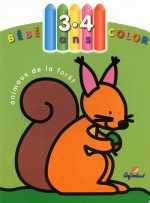 Animaux de la foret - Bébé color 3-4 ans