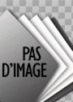 Le crétin tel qu'on le parle