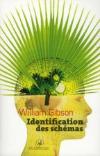 Identification des schémas