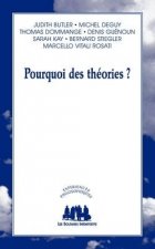 POURQUOI DES THÉORIES ?