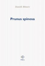 Prunus spinosa