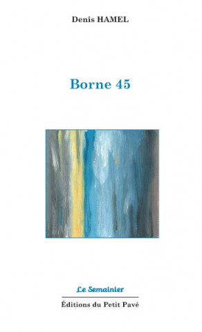 Borne 45