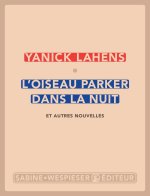 L'oiseau parker dans la nuit