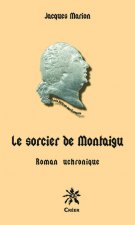 Le sorcier de Montaigu