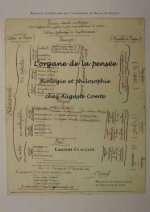 L'organe de la pensée - biologie et philosophie chez Auguste Comte