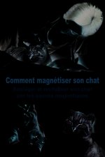 Comment magnétiser son chat