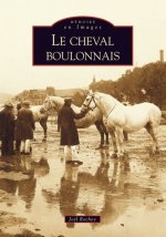 Cheval boulonnais (Le)