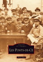 Ponts-de-Cé (Les)