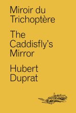 Miroir du Trichoptère - The Caddisfly's Mirror