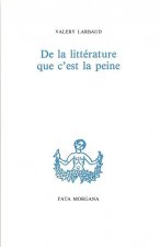 De la littérature que c’est la peine