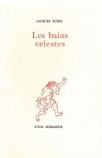 Les bains célestes, journal d’hivers au Japon