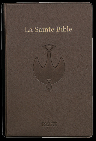 LA SAINTE BIBLE (BRUN)