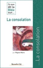 CE QUE DIT LA BIBLE SUR LA CONSOLATION