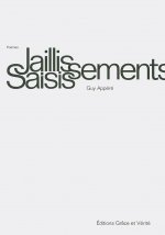 Jaillissements Saisissements