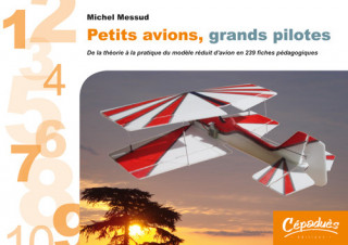 Petits avions, grands pilotes-De la théorie à la pratique du modèle réduit d'avion en 239 fiches péd