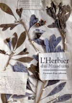 l'herbier du museum