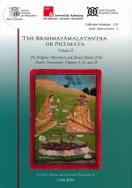 The Brahmayamalatantra or Picumata. Volume II.