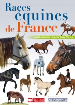 Races équines de France, chevaux, poneys et ânes
