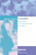 Cannabis quels effets sur le comportement et la santé