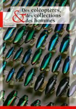 DES COLEOPTERES  DES COLLECTIONS ET DES HOMMES