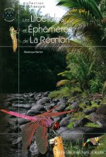 Les Libellules et Éphémères de la Réunion.