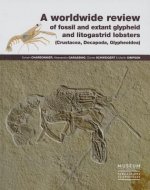 A worldwide review of fossil and extant glypheid and litogastrid lobsters (Crustacea, Decapoda, Glyp