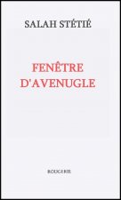 FENETRE D'AVEUGLE