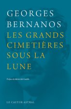 Les Grands cimetières sous la lune
