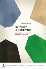 SPINOZA A L OEUVRE