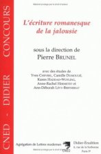 L'Écriture romanesque de la jalousie