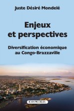 Enjeux et perspectives