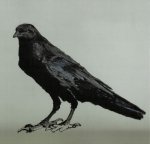 Tétralogie des oiseaux du halage