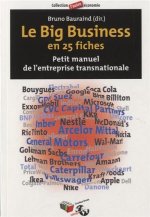 BIG BUSINESS EN 25 FICHES