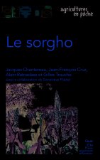 LE SORGHO