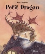 PETIT DRAGON