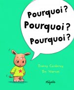 POURQUOI POURQUOI POURQUOI