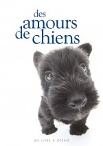 AMOURS DE CHIENS