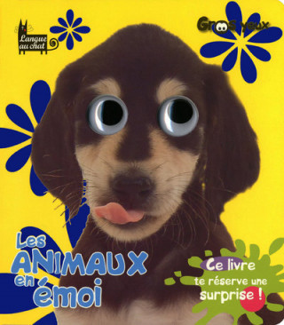 ANIMAUX EN EMOI