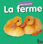 FERME - BEBE DECOUVRE