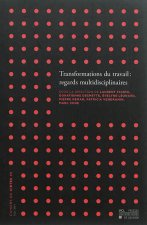 TRANSFORMATIONS DU TRAVAIL : REGARDS MULTIDISCIPLINAIRES