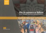 ATLAS DU COMMERCE EN WALLONIE : STRUCTURES, DYNAMIQUES, COMPORTEMENTS SPATIAUX DES CONSOMMATEURS