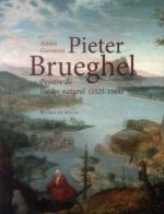 PIETER BRUEGHEL PEINTRE DE L ORDRE NATUREL 1525 1569