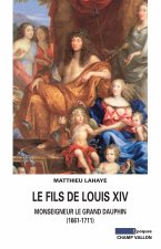 LE FILS DE LOUIS XIV