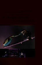 La nature en Lorraine : 101 histoires insolites ou remarquables