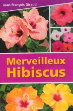 Merveilleux hibiscus